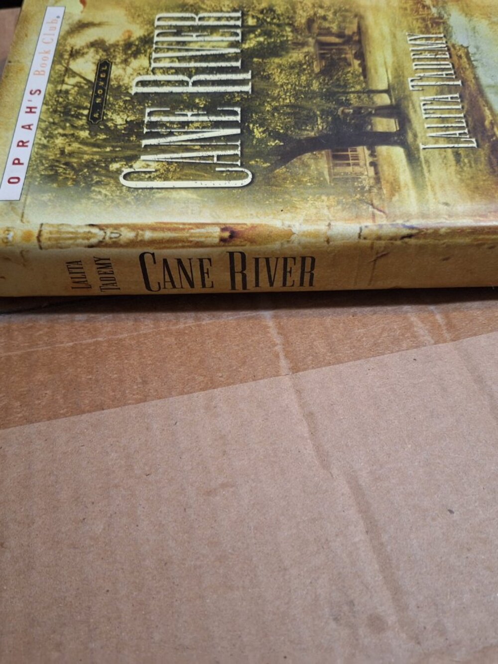 cane river - Picture 2 of 5